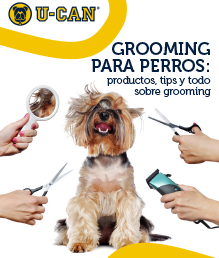 recursos_mockup-grooming-para-perros
